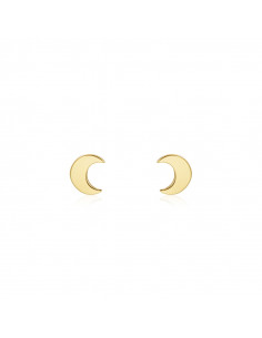 Pendientes Luna.