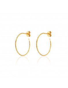 Pendientes Semi Aro de 12 mm.