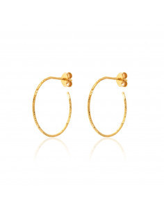 Pendientes Semi Aro de 17 mm.